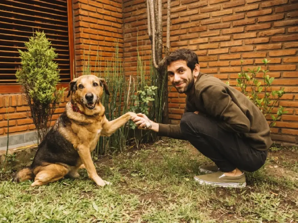 Responsible pet owner caring for their pet